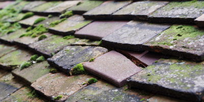Crays Hill roof repair costs